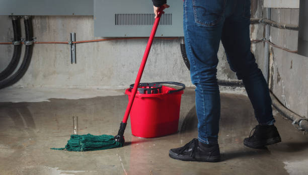 Best Water damage restoration near me  in Wadsworth, IL