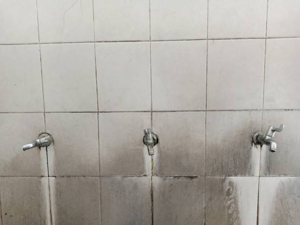 Best Basement water damage restoration  in Wadsworth, IL