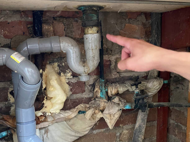Best Water damage contractors near me  in Wadsworth, IL